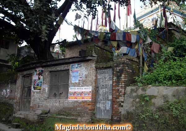house of the yogi
